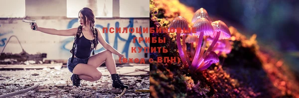 спиды Алексеевка