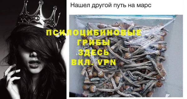 ГАЛЛЮЦИНОГЕННЫЕ ГРИБЫ Алексин