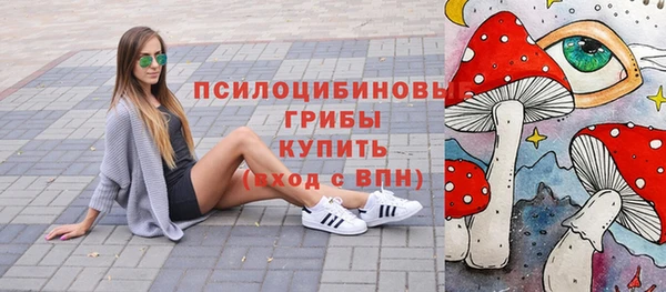 ГАЛЛЮЦИНОГЕННЫЕ ГРИБЫ Алзамай