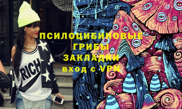 ГАЛЛЮЦИНОГЕННЫЕ ГРИБЫ Алзамай