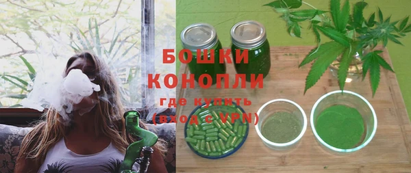ГАЛЛЮЦИНОГЕННЫЕ ГРИБЫ Алзамай