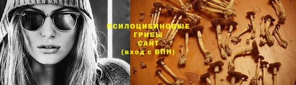 ГАЛЛЮЦИНОГЕННЫЕ ГРИБЫ Алзамай